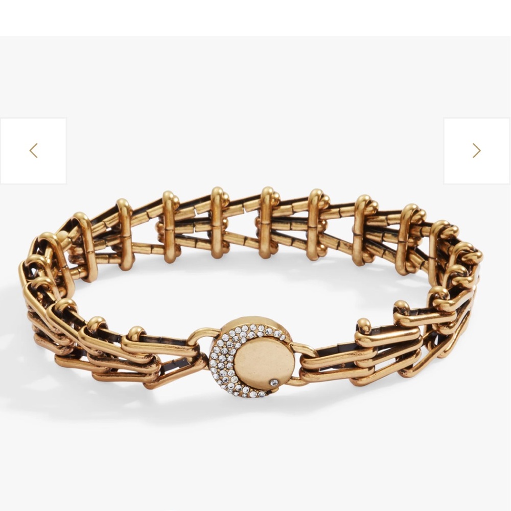 Alex and Ani Wanderer Chain Statement Bracelet